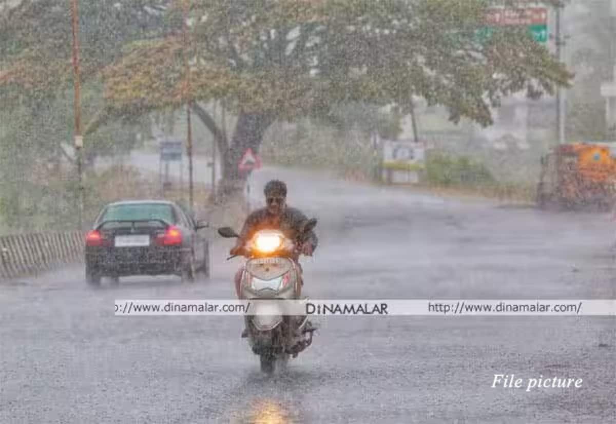Rain likely across Tamil Nadu till August 2: Weather office