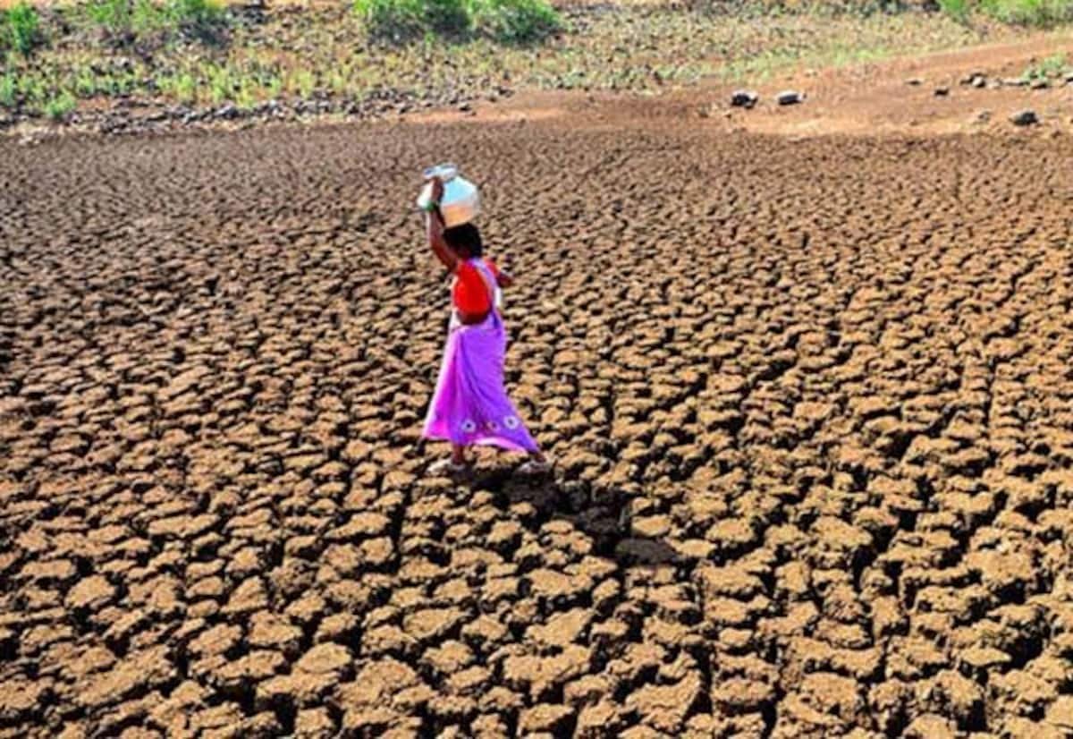 Water shortage hits Tamil Nadu; paddy area down by 1 lakh acres