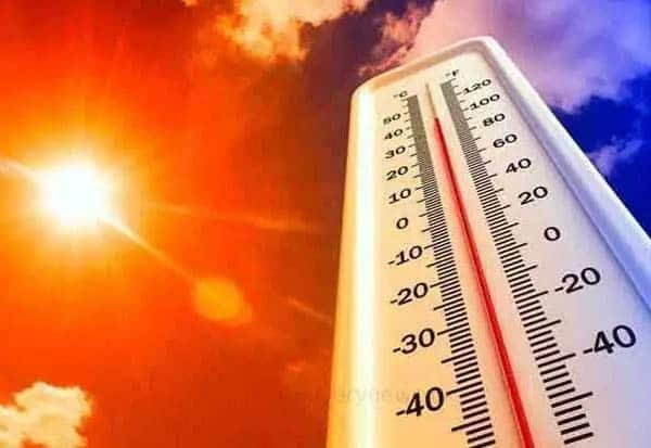 Tamil Nadu to see 3°C rise in heat for four days: IMD Chennai