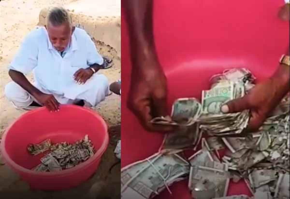 Farmer’s Rs 5 lakh buried in soil ruined by termites; bank declines swap