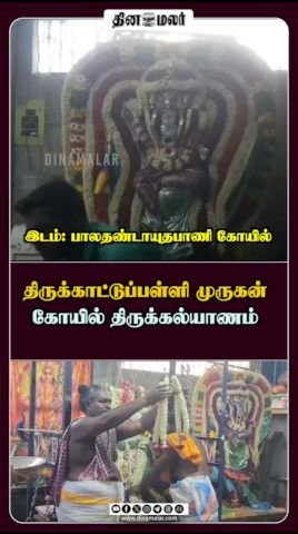 Thirukattupalli Murugan Temple celebrates Thirukalyanam