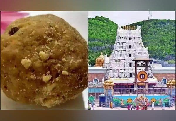 Probe flags 7 million kg ghee bought without tests for Tirupati laddus