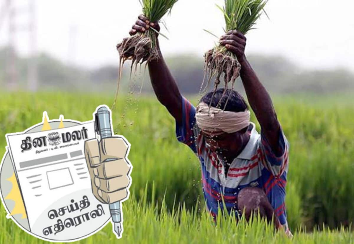 நெல் கொள்முதல் நிலையங்கள் திறக்க கலெக்டர்களுக்கு மீண்டும் அதிகாரம்