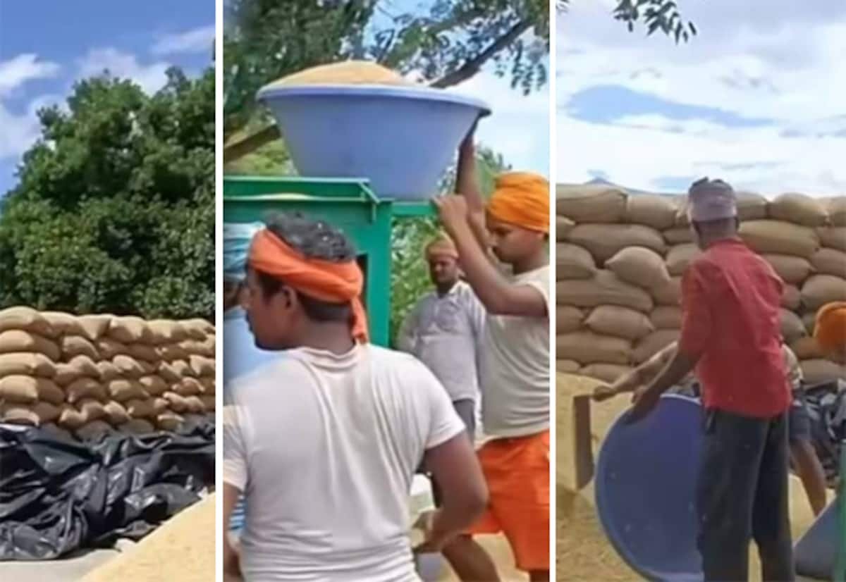 நெல் கொள்முதல் மையங்களில் வட மாநில தொழிலாளர்கள்; ஆள் பற்றாக்குறைக்கு அரசு தீர்வு