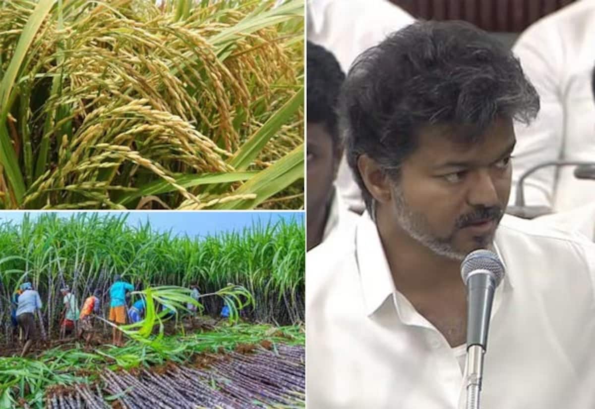 TN hikes incentives for paddy and sugarcane, CM Vijay tells Assembly
