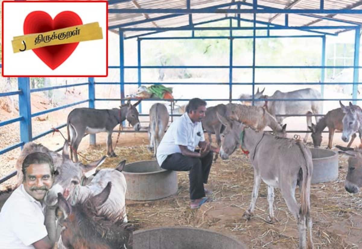 திருச்சி அருகே கழுதை வளர்ப்பை லாபமாக மாற்றிய வழக்கறிஞர்
