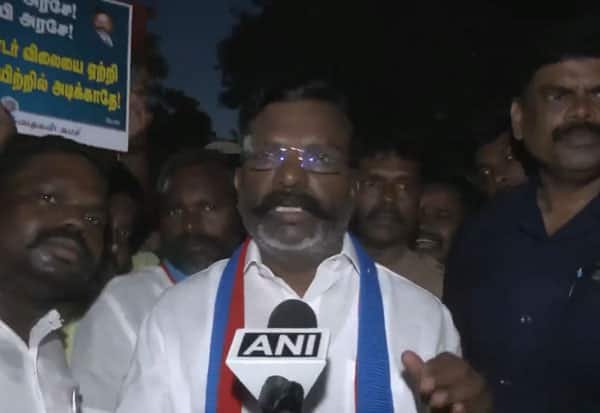 VCK to decide on TVK support jointly with Left parties: Thirumavalavan