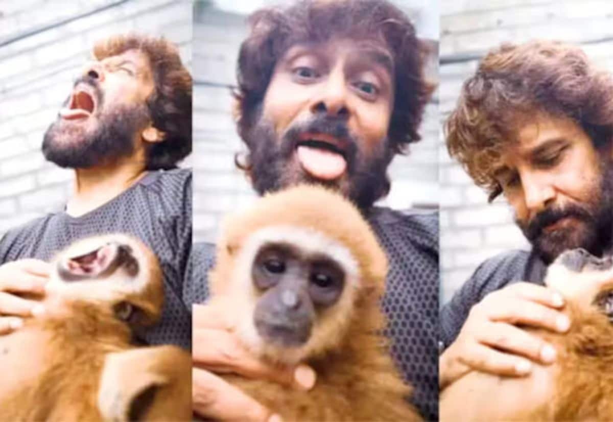 Forest probe slows in actor Vikram’s banned gibbon monkey case