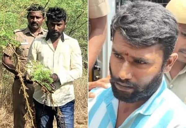 விளாத்திக்குளம் மாணவி பாலியல் வன்கொடுமை-கொலை: 76 நாளில் தீர்ப்பு; குற்றவாளிக்கு தூக்கு