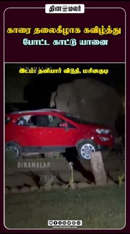 Wild elephant overturns a car in viral short video